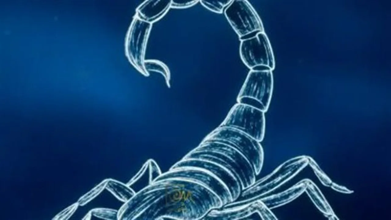 بشرى لبرج العقرب.. فرصة ترقية مرتقبة في انتظارك ببيئة العمل اليوم الأربعاء